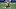 Cleveland Browns Cleveland Browns