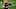 Cleveland Browns