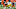 Cleveland Browns Cleveland Browns