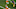Cleveland Browns Cleveland Browns