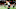 Cleveland Browns Cleveland Browns