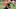 Cleveland Browns Cleveland Browns