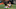 Cleveland Browns Cleveland Browns