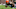 Browns, Jadeveon Clowney Browns, Jadeveon Clowney