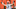 Cleveland Browns Cleveland Browns