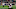 Cleveland Browns, NFL Draft Cleveland Browns, NFL Draft