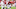 Cleveland Browns Cleveland Browns