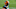 Cleveland Browns Cleveland Browns