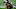 Cleveland Browns Cleveland Browns
