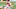 Cleveland Browns Cleveland Browns