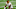 Cleveland Browns free agency Cleveland Browns free agency