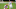 Cleveland Browns Cleveland Browns