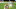 Cleveland Browns Cleveland Browns