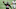 Cleveland Browns
