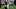 cleveland browns cleveland browns