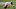 Cleveland Browns, 2021 NFL Draft Cleveland Browns, 2021 NFL Draft