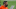 Cleveland Browns Cleveland Browns