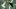 Cleveland Browns Cleveland Browns