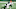 Cleveland Browns Cleveland Browns