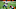 Cleveland Browns Cleveland Browns