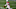 Cleveland Browns Cleveland Browns