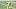 Cleveland Browns Cleveland Browns