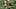 Cleveland Browns Cleveland Browns