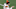 Cleveland Browns Cleveland Browns