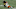Cleveland Browns