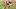 Cleveland Browns Cleveland Browns