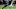 Cleveland Browns, Jarvis Landry, Odell Beckham Cleveland Browns, Jarvis Landry, Odell Beckham