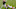 Cleveland Browns Cleveland Browns