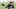 Cleveland Browns Cleveland Browns