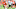Cleveland Browns Cleveland Browns