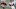 Cleveland Browns Cleveland Browns