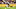 Cleveland Browns Cleveland Browns