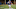 Tucker Kraft, Browns, Cleveland Browns, 2023 NFL Mock Draft Tucker Kraft, Browns, Cleveland Browns, 2023 NFL Mock Draft