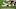 Cleveland Browns Cleveland Browns