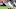 Cleveland Browns Cleveland Browns