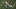 Cleveland Browns Cleveland Browns