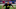 Cleveland Browns Cleveland Browns