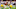 Jaquelin Roy, Cleveland Browns, Browns, 2023 NFL Mock Draft Jaquelin Roy, Cleveland Browns, Browns, 2023 NFL Mock Draft