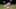 Washington Nationals Washington Nationals