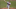 Washington Nationals Washington Nationals