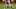 Washington Nationals DJ LeMahieu Washington Nationals DJ LeMahieu