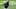 Starling Marte Starling Marte