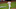 Michael Brantley Michael Brantley
