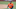 George Springer George Springer