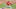 Jack Flaherty Jack Flaherty