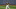 PEORIA, AZ – MARCH 7: Robert Hassell III #90 of the San Diego Padres in action during the game against the Kansas City Royals at Peoria Stadium on March 7, 2021 in Peoria, Arizona. The Royals defeated the Padres 4-3. (Photo by Rob Leiter/MLB Photos via Getty Images) PEORIA, AZ – MARCH 7: Robert Hassell III #90 of the San Diego Padres in action during the game against the Kansas City Royals at Peoria Stadium on March 7, 2021 in Peoria, Arizona. The Royals defeated the Padres 4-3. (Photo by Rob Leiter/MLB Photos via Getty Images)